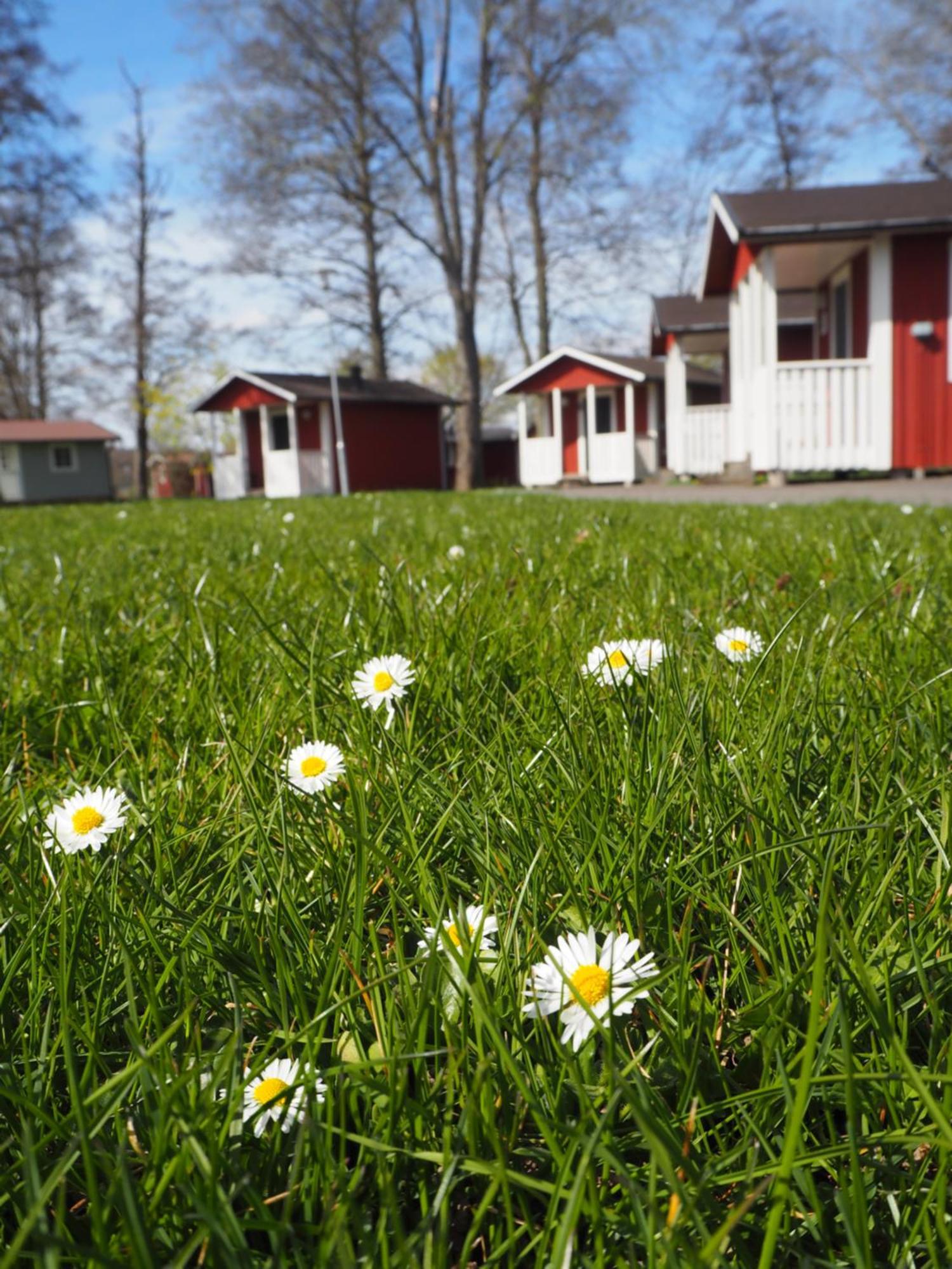 Skara Stads-Camping & Stugby Exterior foto